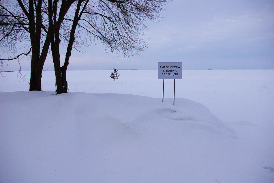 Крезиленд 