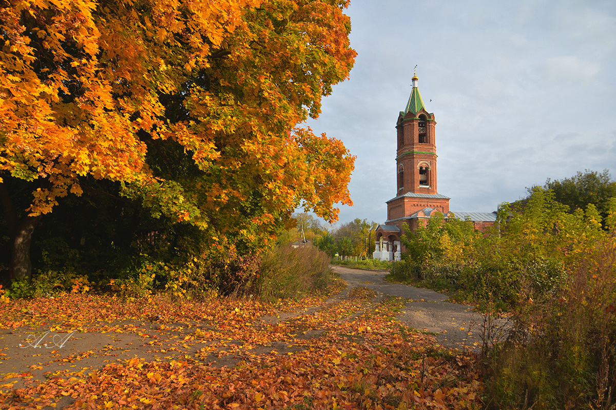 *** осень