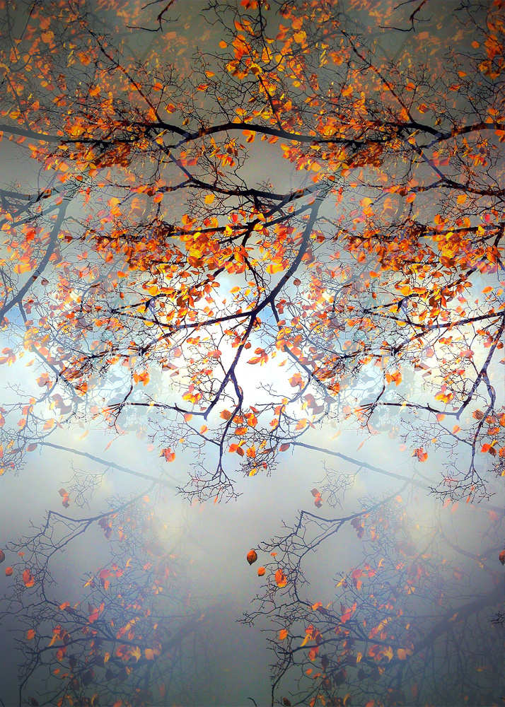 Autumn 