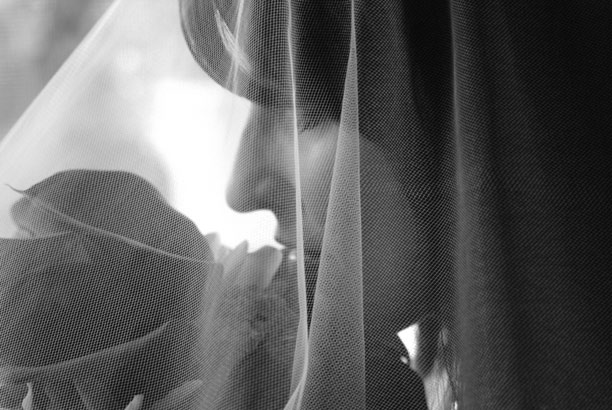 bride bride