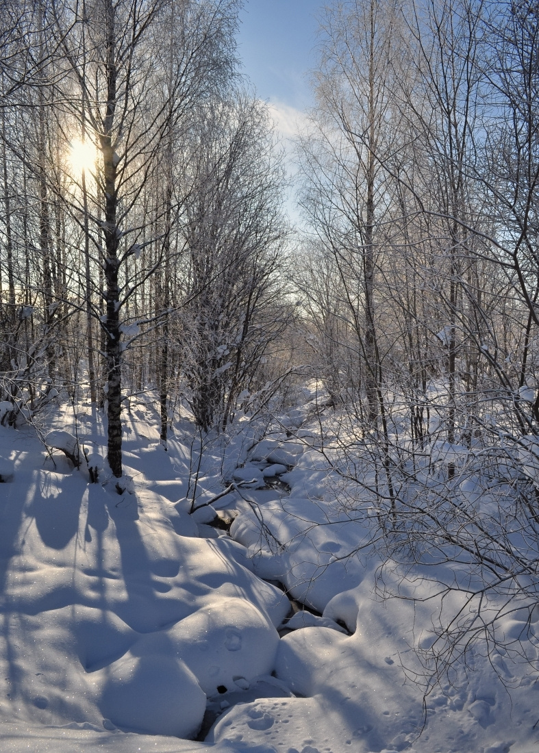 Ручеек, февраль ручей февраль Хельсинки brook February Helsinki