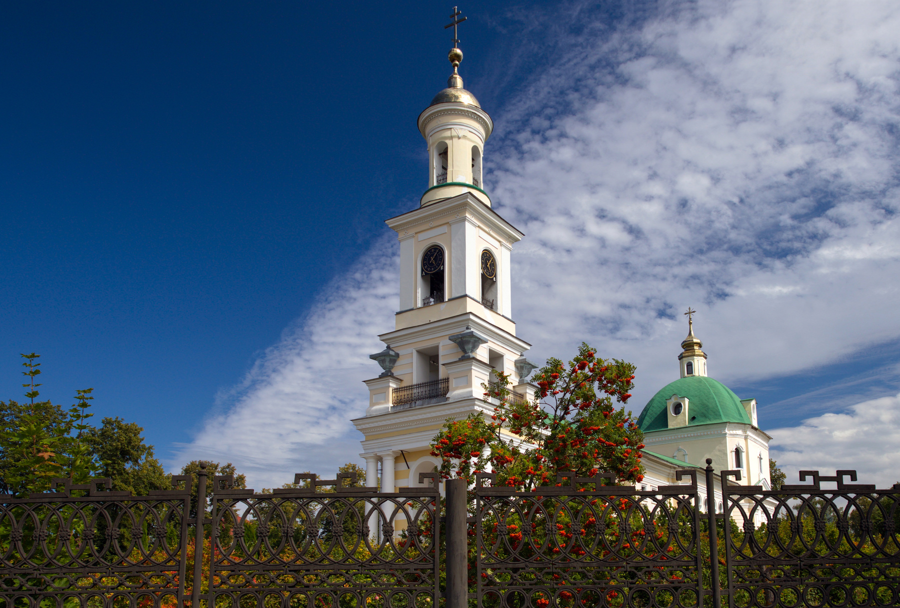 Рябина Красная 