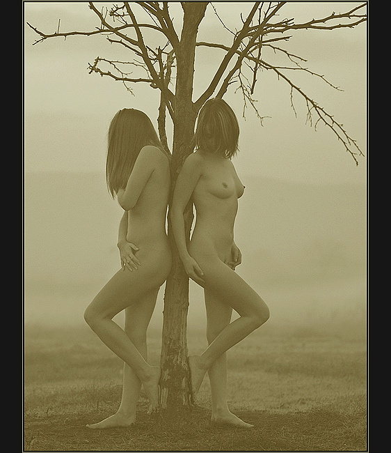 Together 