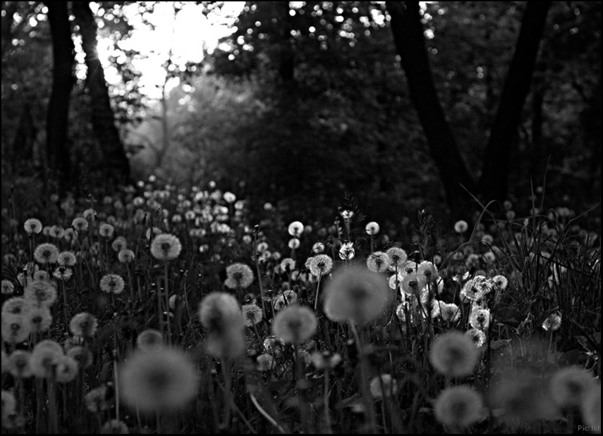 Fairy-tale-lie темный ключ