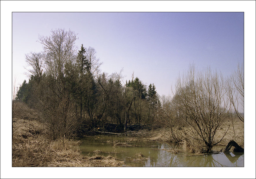 Весенние зарисовки 2007 