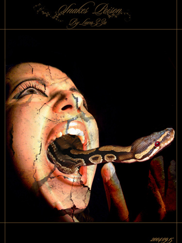 Snakes Poison Photomanipulation
