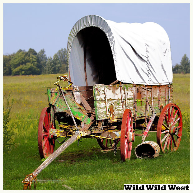 wild wild west поле, дикий, запад, кибитка, природа
