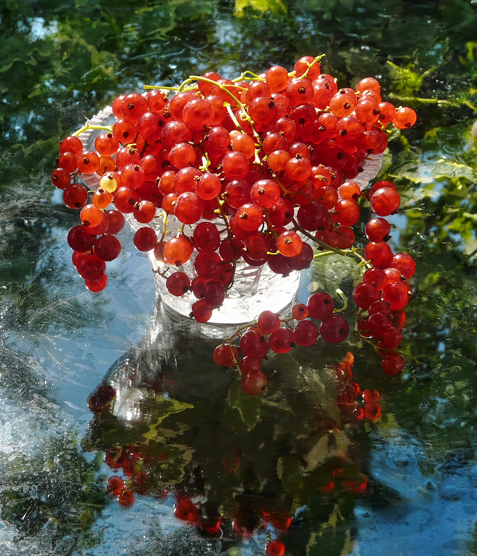 ***...с красной смородиной... 