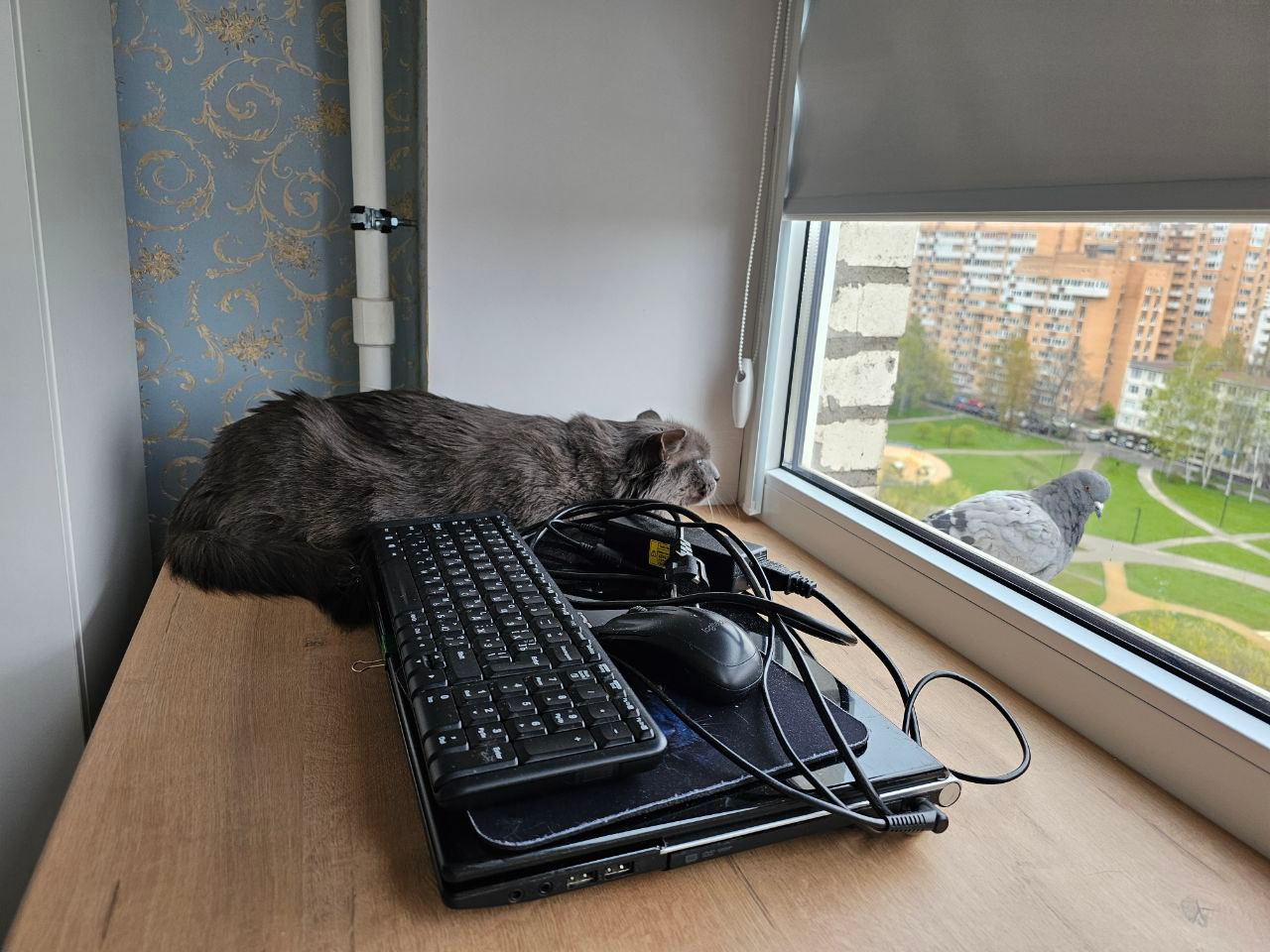 Охотница 
