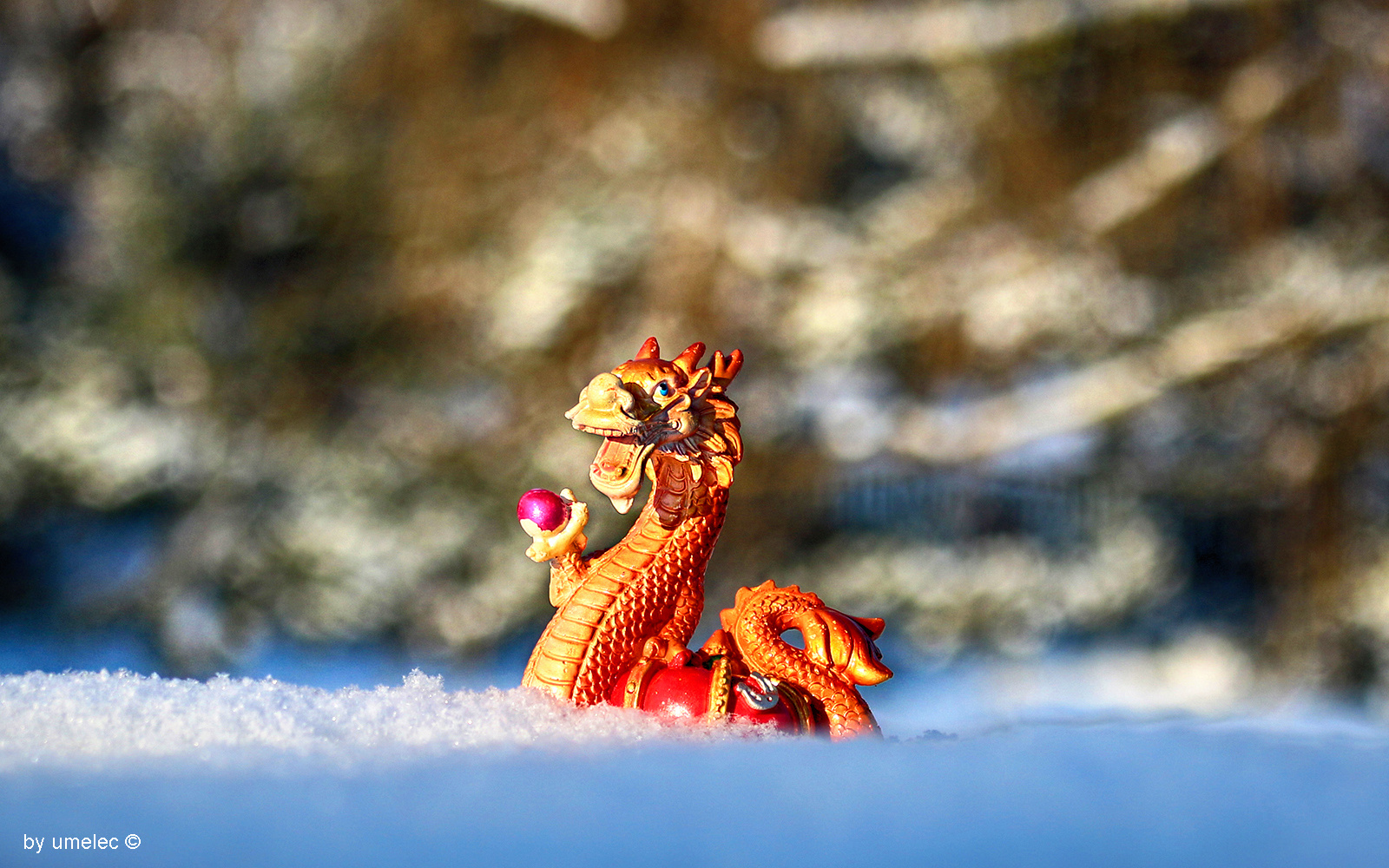 ***Dragon 