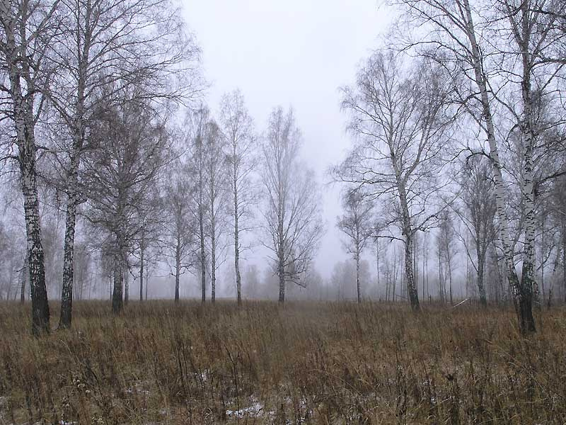 Межсезонье 2 Межсезонье, утро, туман, охота
