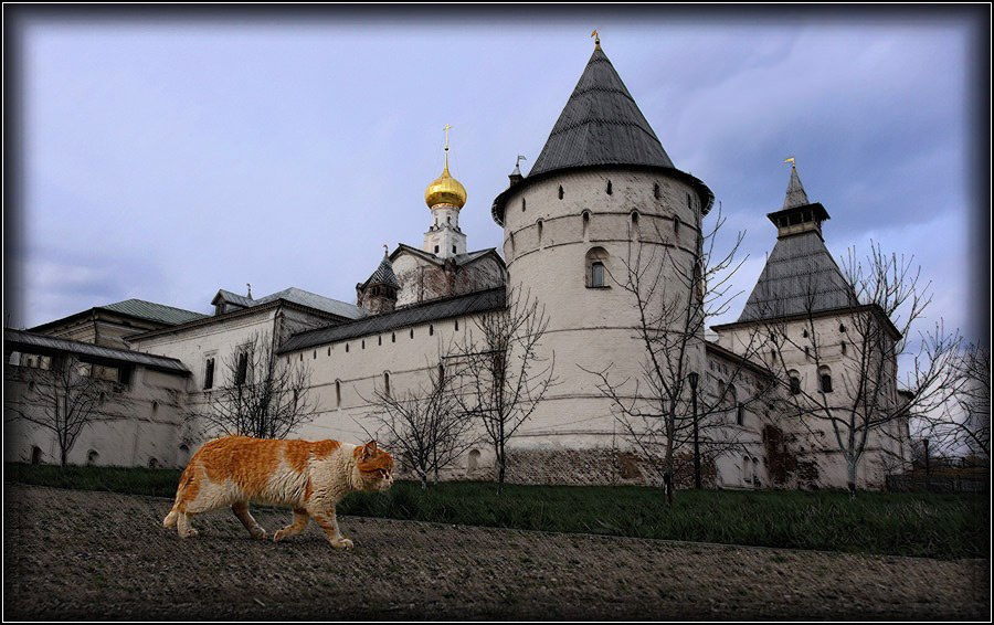 Деловой Кот деловой кремль