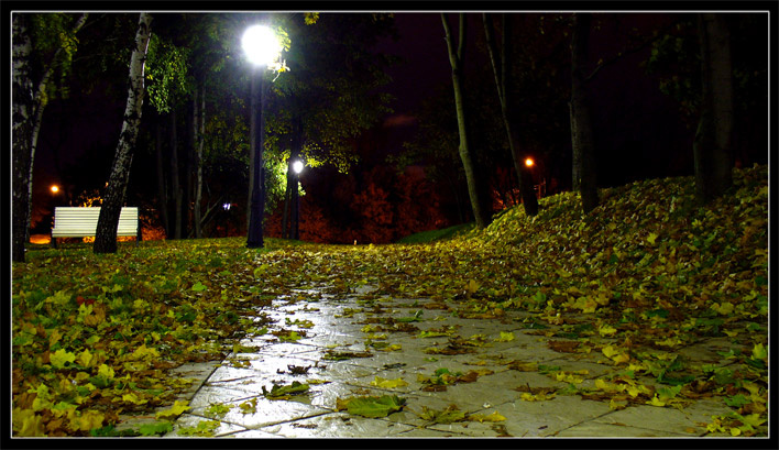 Осенью в Царицино осень, листья, парк