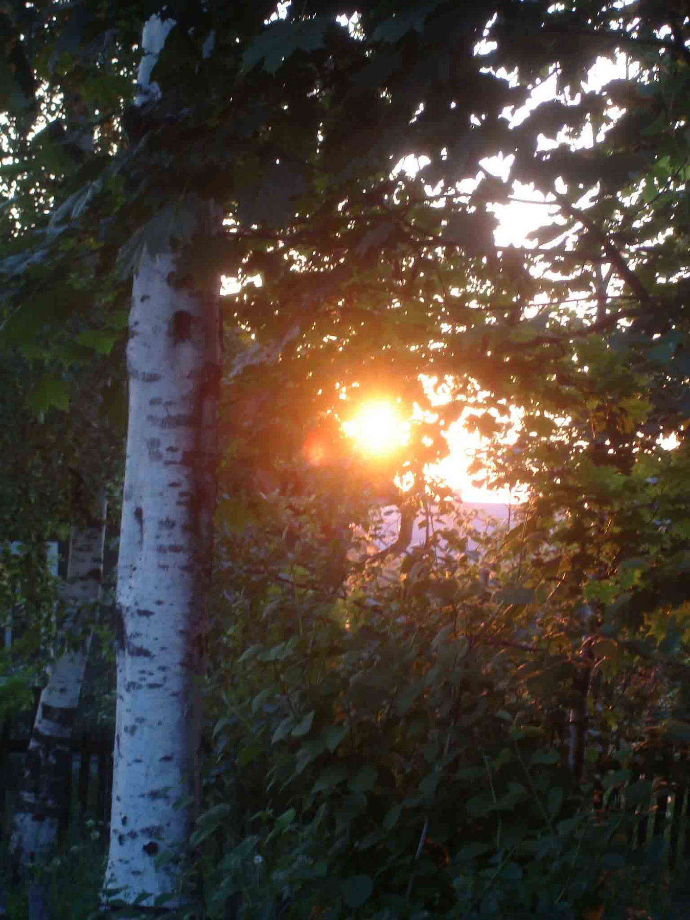 Закат 