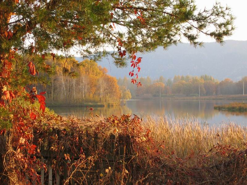 Золотая осень осень, озеро
