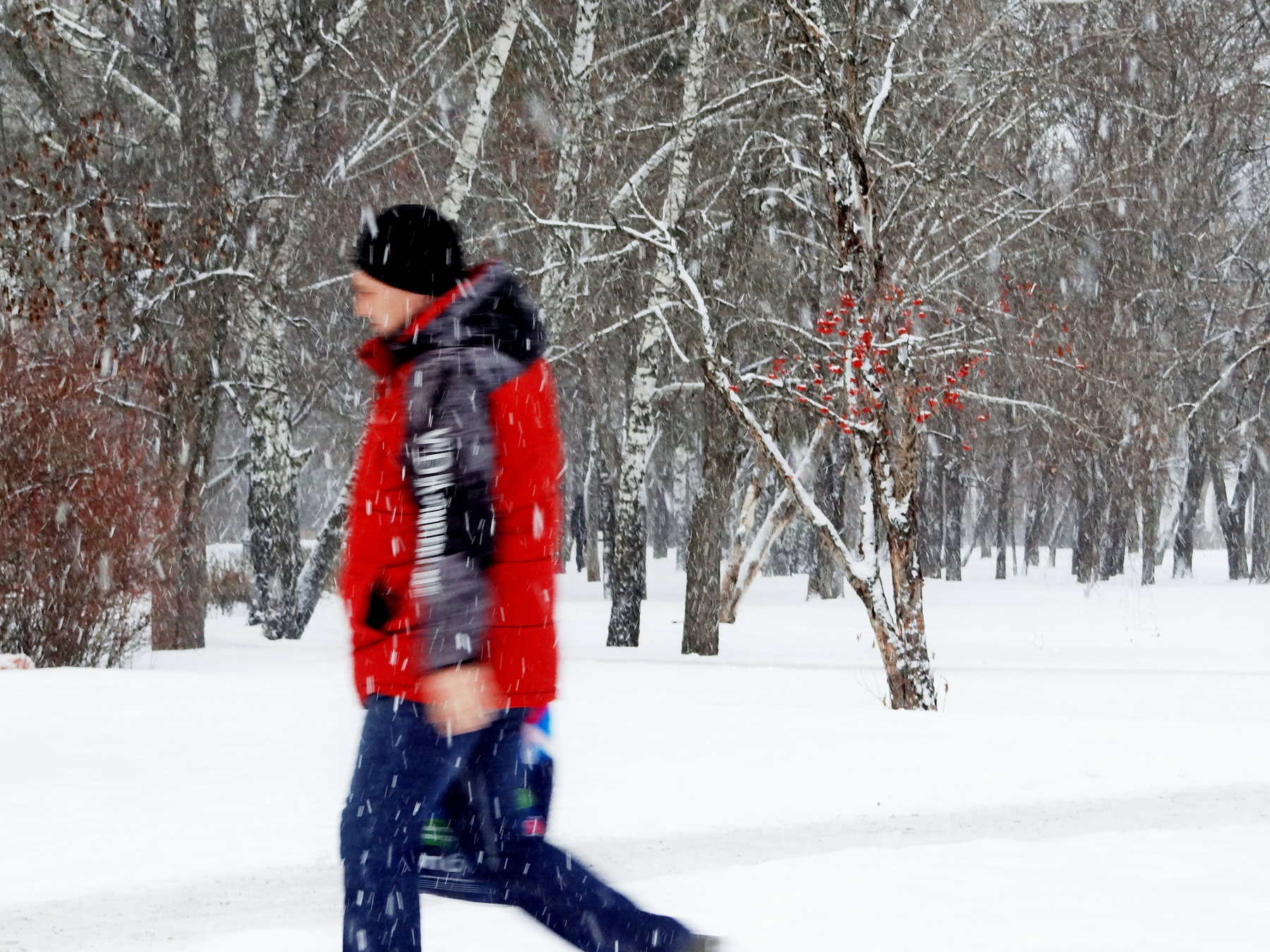 Снежный человек 