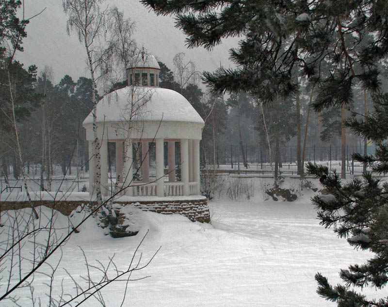 Снегопад Снег, парк, тишина