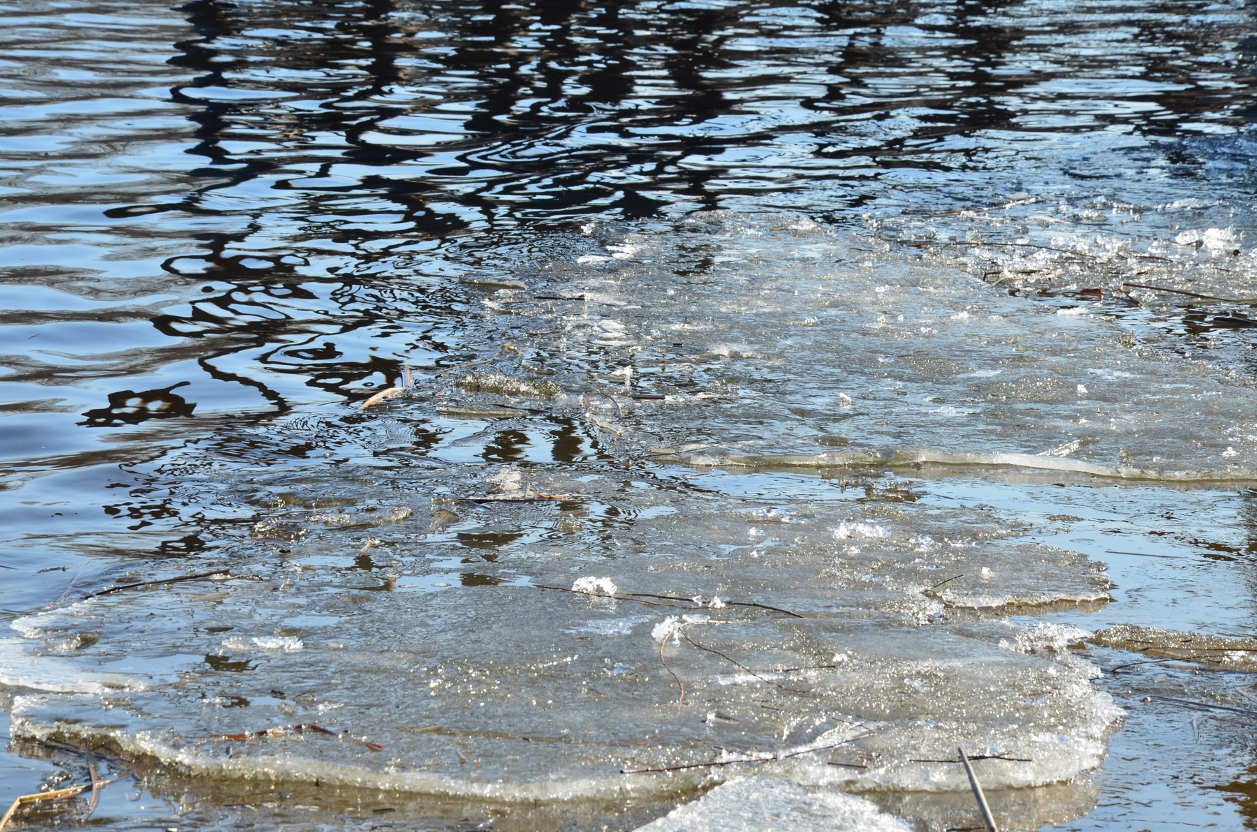 Остатки зимы на воде 