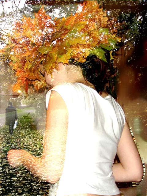 swoautumn 