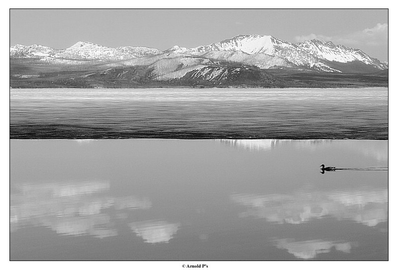 Cruising with the Clouds  Yellowstone