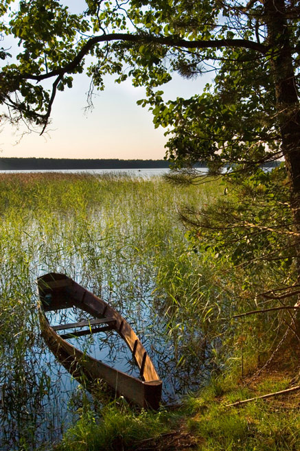 на озере Великом вода озеро сосны лодка