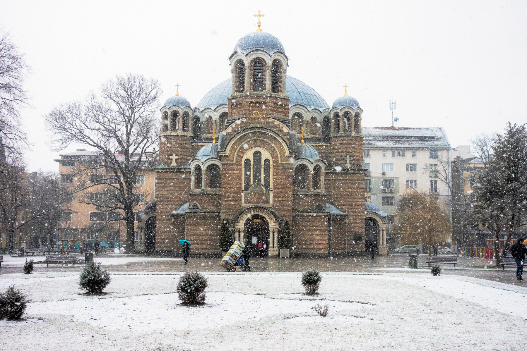 Февральский снег София