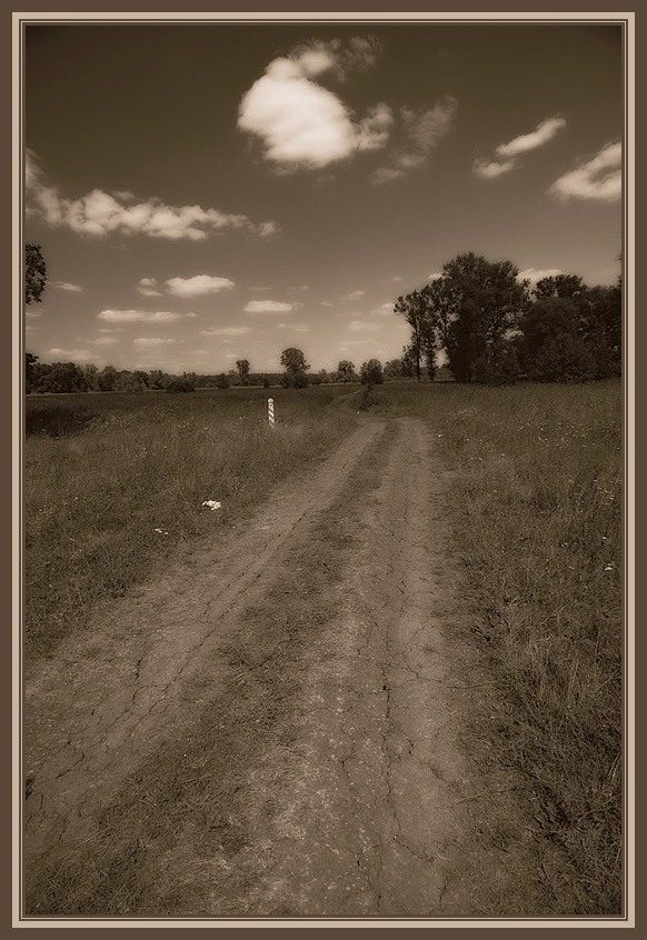 *** Дорога, день