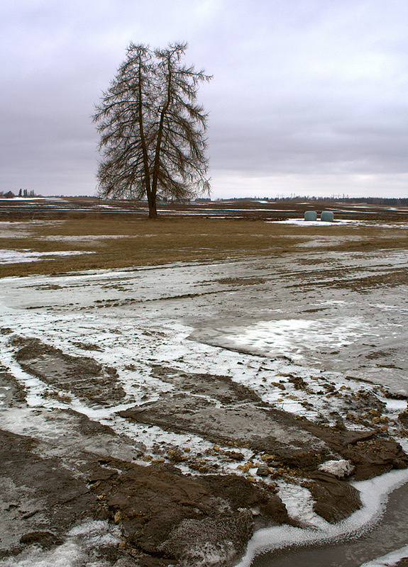  Заморозки сохранятся до мая... Эстония, Aravete, весна, поле, вода, снег, коллаж, заморозки, облачность