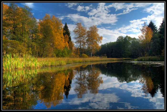 Осень золотая_2 река , осень , тишина