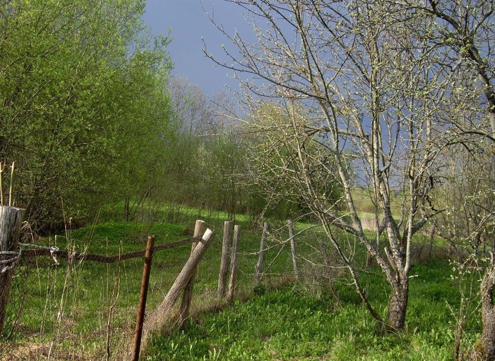 после дождя гроза, туча, зелень, забор