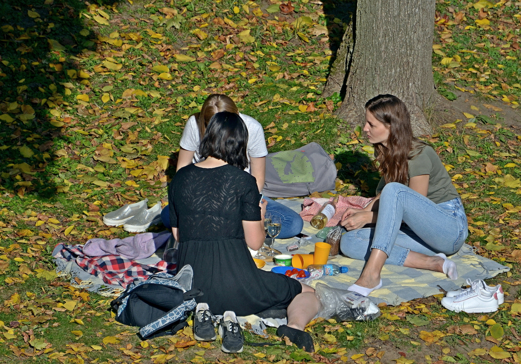 Пикник 