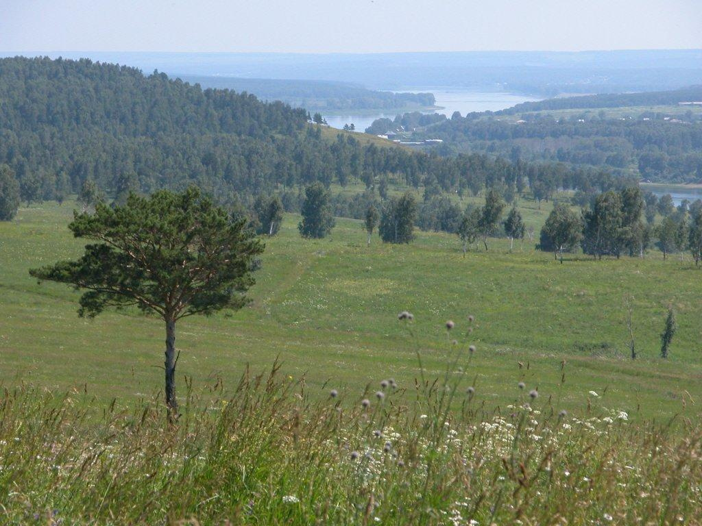 Змеинки Сибирь, природа, река, даль