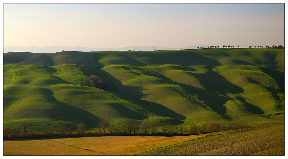 Dark Side of the Hill Toscana