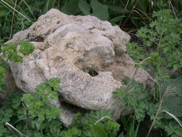 время в камне камень