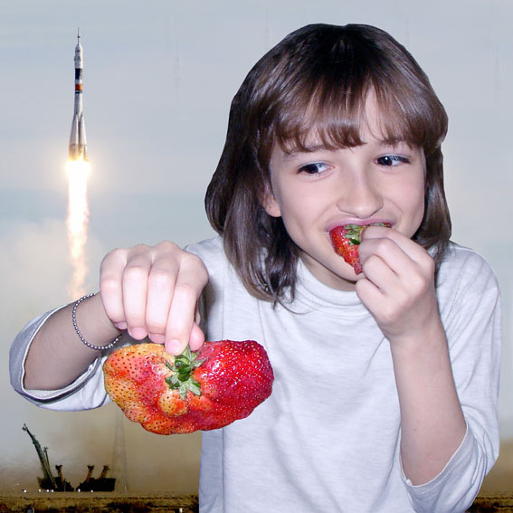 Одну ягодку беру, на другую смотрю, третью примечаю... 