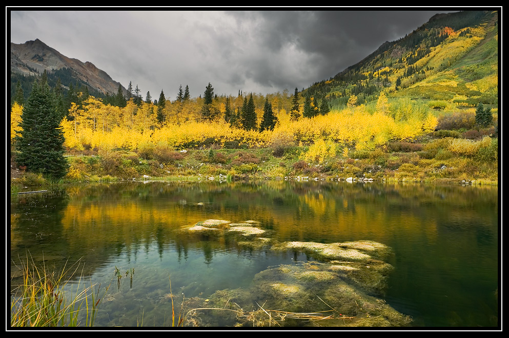POND. 