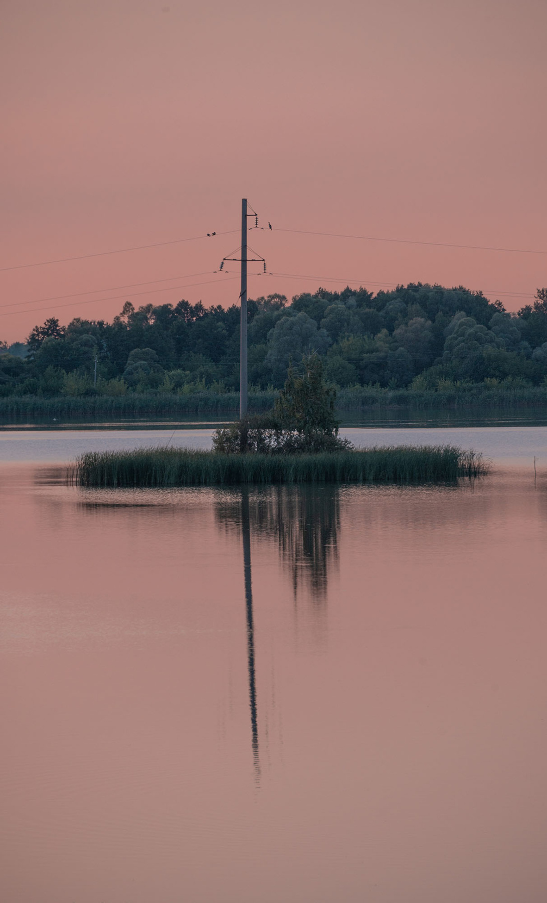 Булавка 