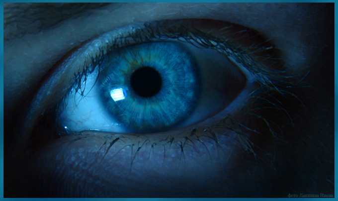 Sight глаз