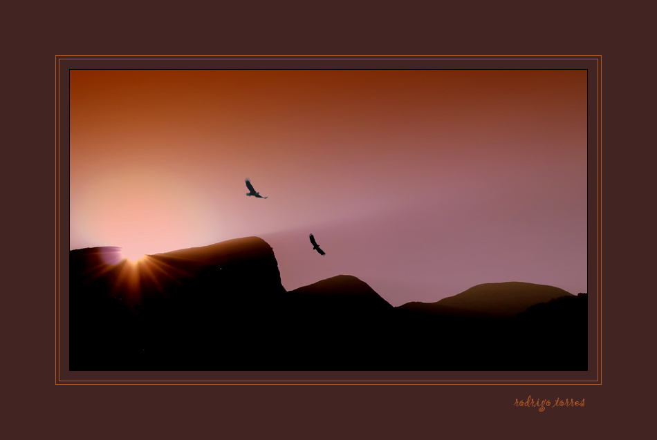 the eye of mountain sunset заход солнца birds птицы Brazil Бразилия mountain гора