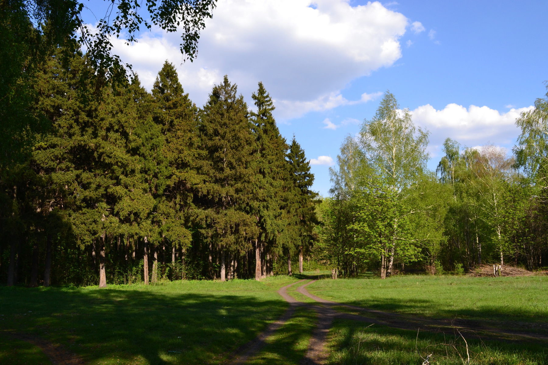 Парк парк,Анна,Воронежская область