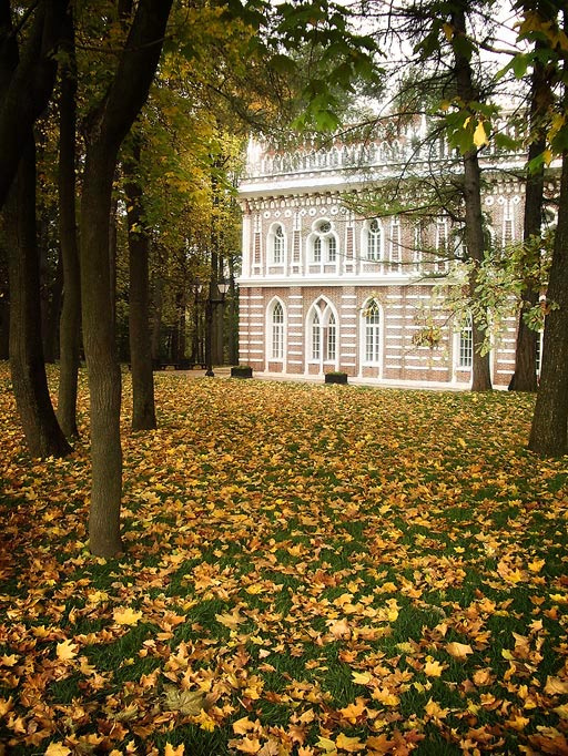 в Царицыно 