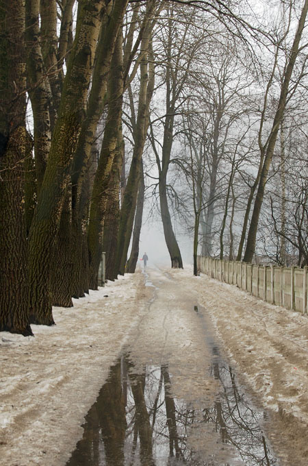 Март2 деревья, лужи