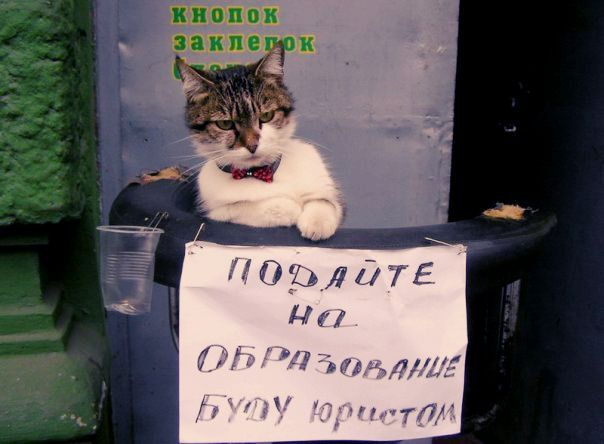 печальбеда 
