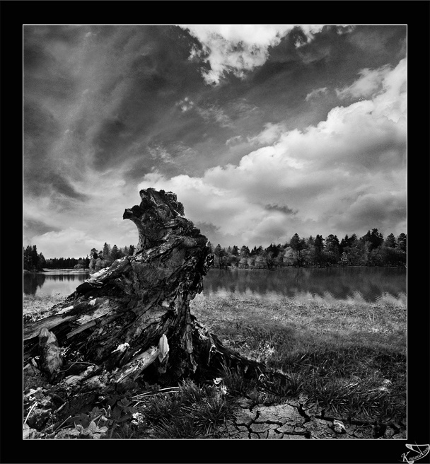 ****** (из серии Nature-жанр) 