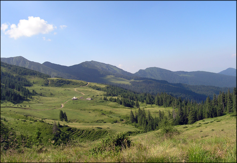 \"Лисички\" Карпаты солнце кошара