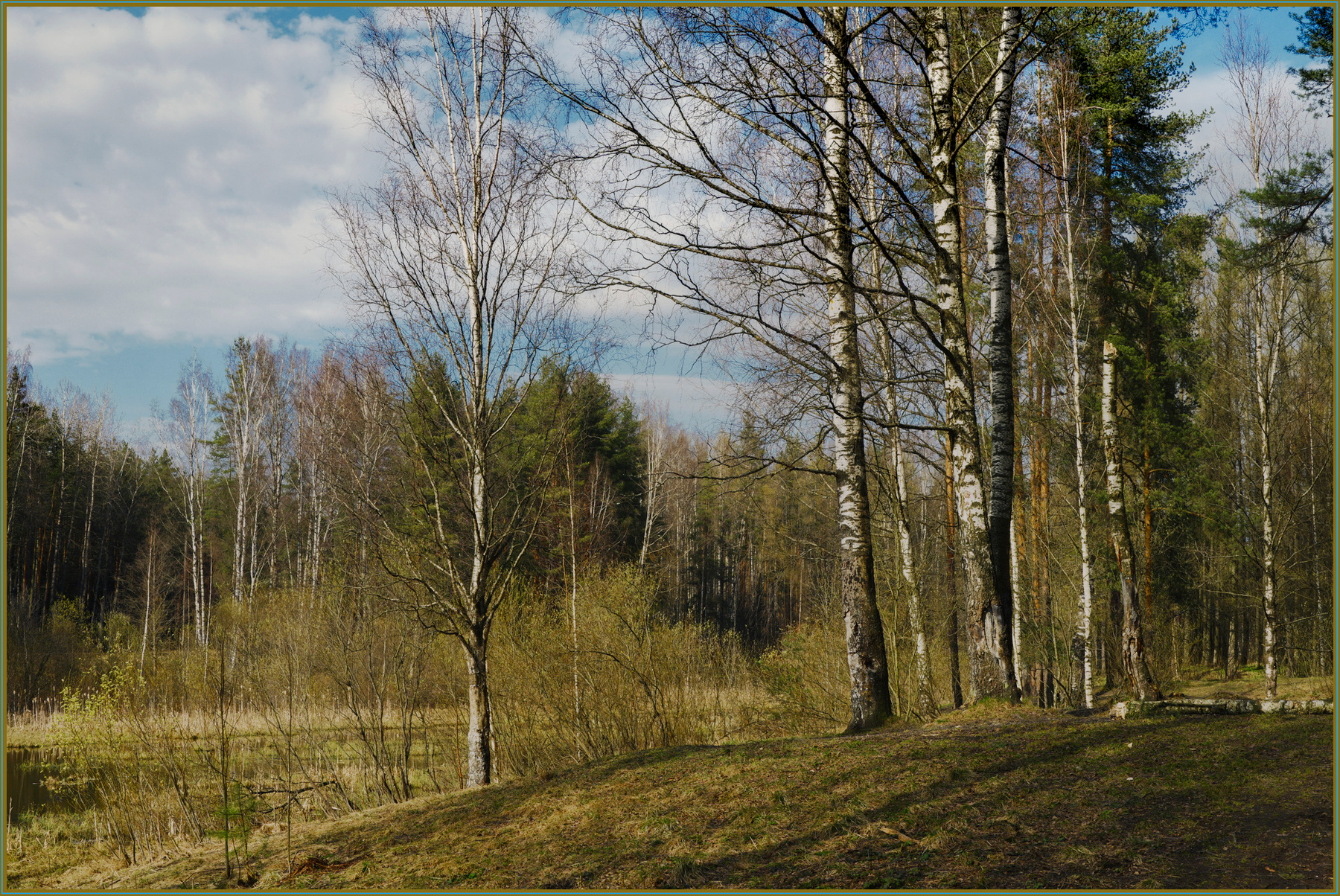 Речка Лапка (2) 