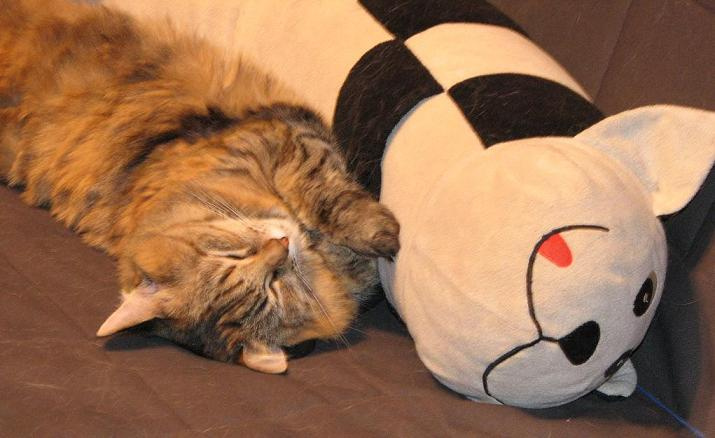 Спят усталые игрушки Кот