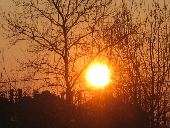Solnce, kotoroe prosto zacepilos! sun