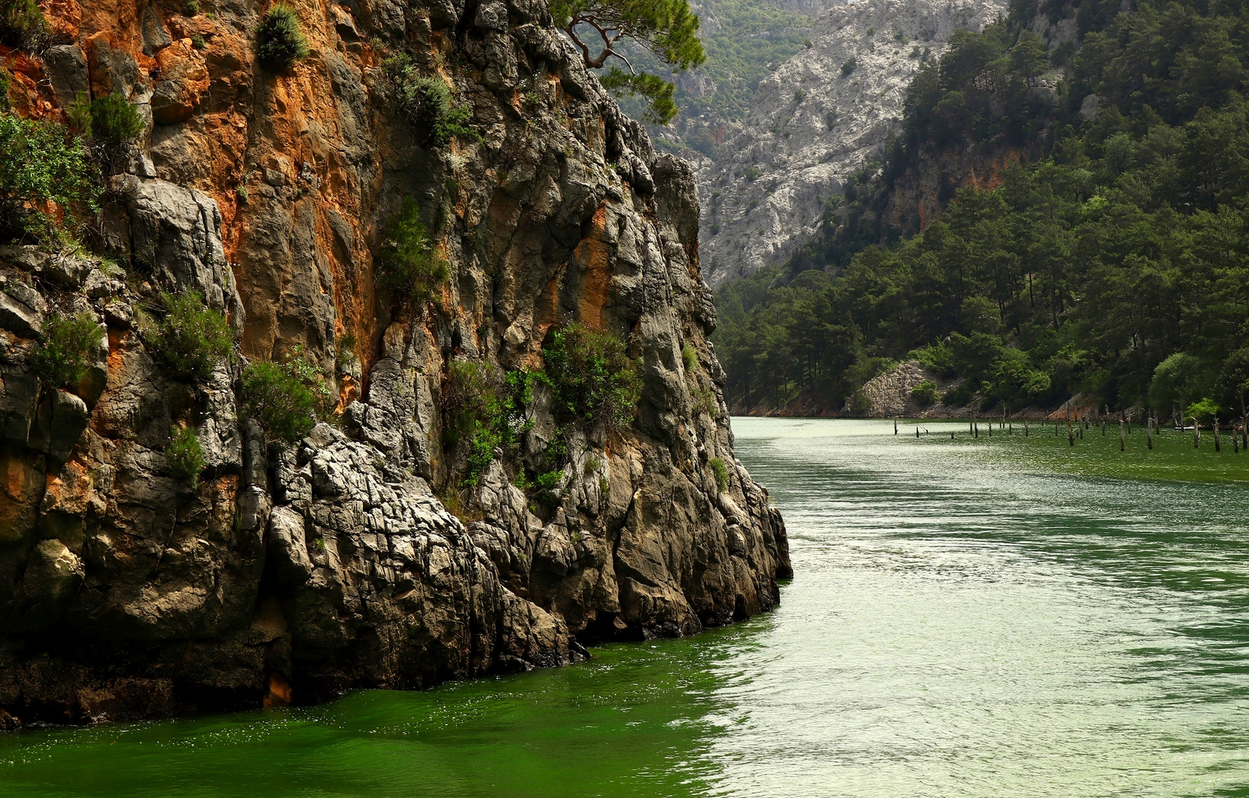 Зелёная,зелёная вода каньон река скалы