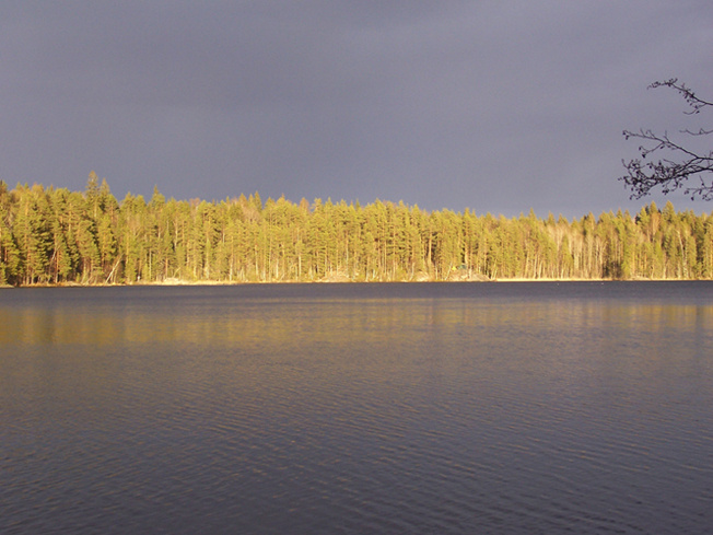 краски мая природа озеро май
